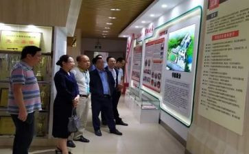 小学语文培训的心得体会最新5篇