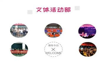 文体投工作总结5篇