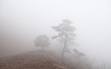 雾都孤儿的读后感通用5篇