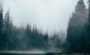 雾都孤儿读后感500字7篇