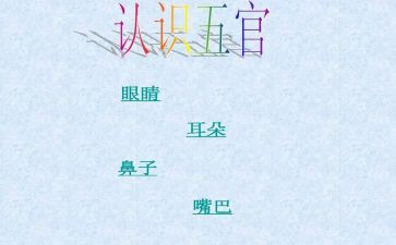 五官的作文精选8篇