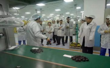 物料组工作总结范文6篇