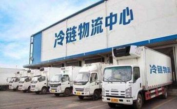物流公司年度工作计划5篇