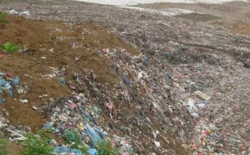 小学生环境污染调查报告6篇