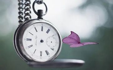 《无声告白》读后感优秀7篇