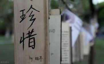珍惜粮食,演讲稿6篇