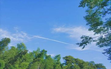 夏洛?A网读后感优质5篇