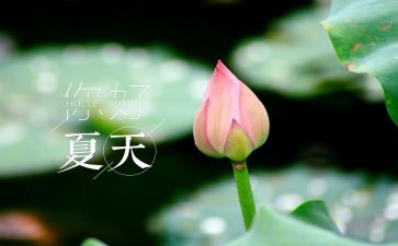 夏天的声音作文600字6篇