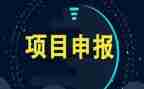 项目办个人总结范文5篇