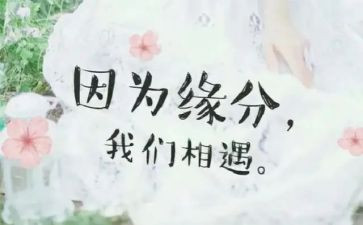 与爱相遇作文800字8篇