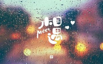 相遇类作文参考7篇