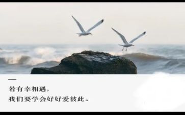 相遇类作文优秀7篇