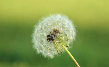 骆驼祥子的读后感3000字6篇