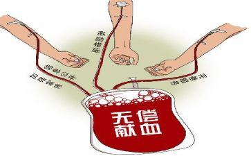 关于献血活动的总结7篇
