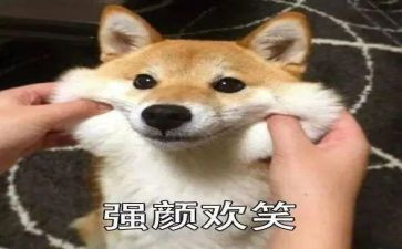 笑对挫折作文优秀5篇