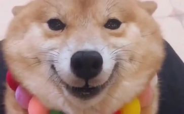 自己的笑作文400字优质5篇