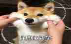 笑对挫折作文优秀5篇