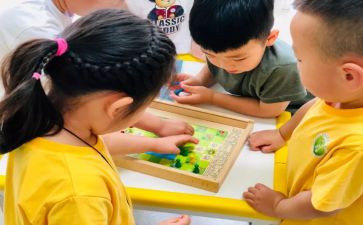 小班我会坐教案6篇