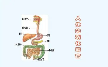 消化内科月工作总结6篇