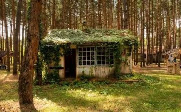 芒果街上的小屋读后感6篇