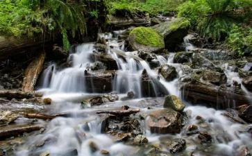 小溪流的歌教学反思7篇