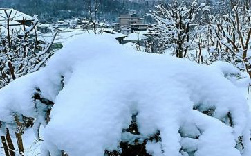 下雪作文400字精选5篇