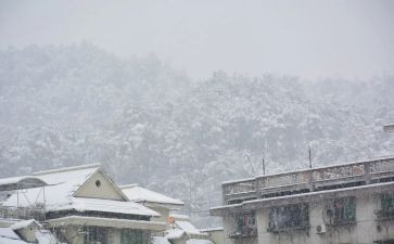 下雪的作文300字6篇