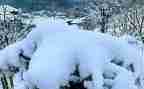 下雪啦活动教案5篇