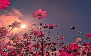 喜欢的人,作文7篇