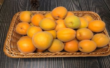 银杏树的作文优质8篇