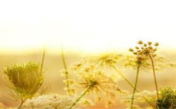 心灵的洗涤作文8篇