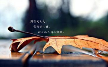 有关考试后心情的作文6篇