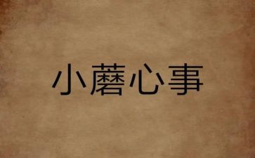 我的开心事作文500字5篇