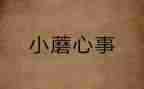 我的开心事作文500字5篇