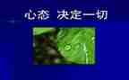 心态话题作文优秀7篇