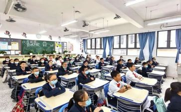 数学选修课心得体会8篇