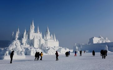 雪读后感300字参考7篇