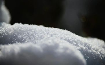 雪读后感300字6篇