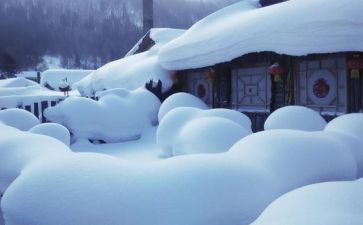 环卫除雪工作计划参考5篇
