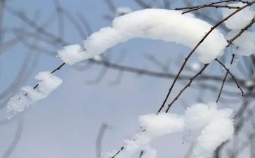 雪读后感300字推荐8篇