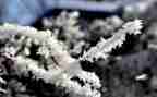 校园除雪活动总结通用5篇