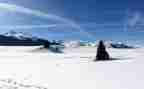 雪读后感300字模板5篇