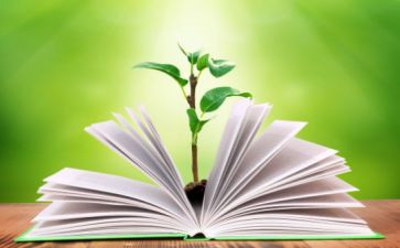 化学教师学期教学工作计划6篇