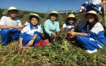 鲁汇学农个人总结6篇