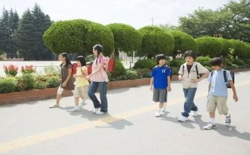 学生干培训总结参考5篇
