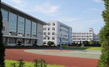 学校出纳个人工作总结5篇