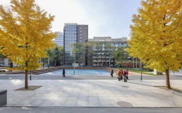 学校食堂的调研报告6篇