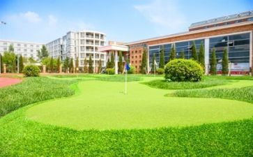 学校312活动总结8篇