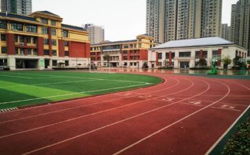 我的学校演讲稿精选5篇