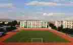 学校安全处个人工作总结5篇